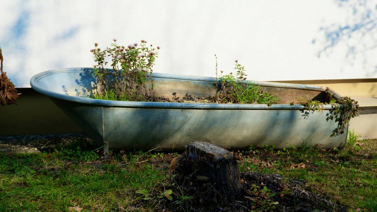 Vintage bathroom featuring an old fashioned clawfoot bathtub with brass fixtures